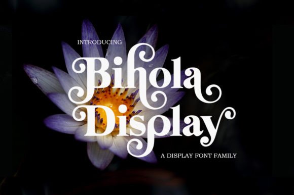 Bihola: A Modern Vintage Font for Creative Product Design